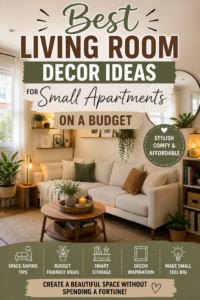 Best Living Room Decor Ideas for Small Apartments on a Budget